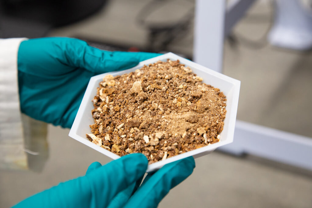 A scientist wearing green gloves holds a white tray containing a soil sample for examination. She is conducting sustainable metal extraction research.